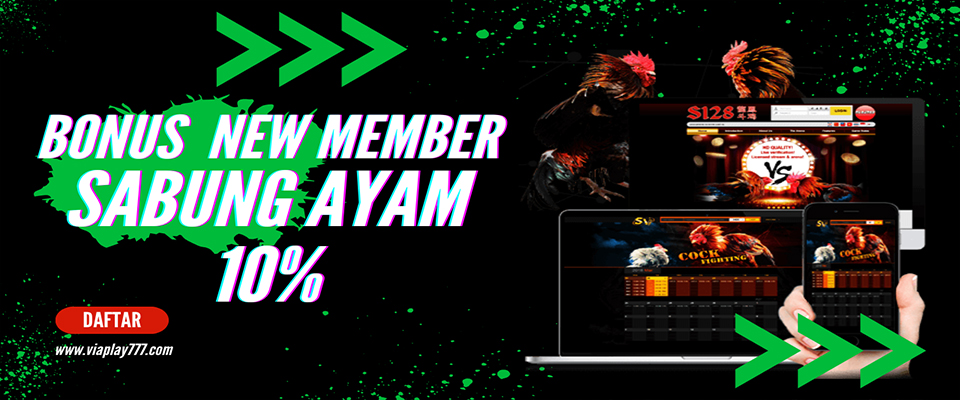 Bonus New Member Sabung Ayam